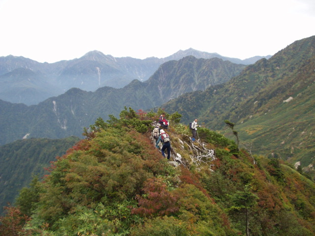 猫又山下山中