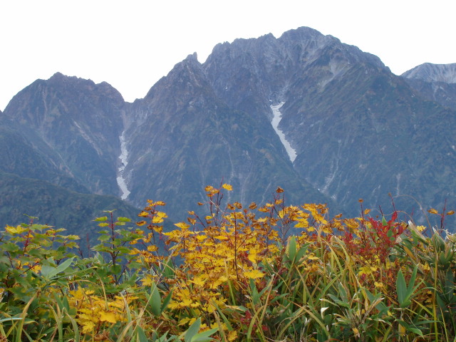 大猫山より