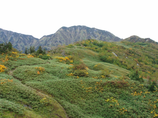 整備中の登山道と猫又山