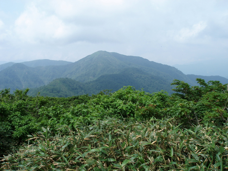 赤兎山から見る大長山