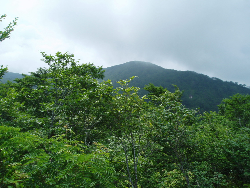 大長山の登山道から見る赤兎山