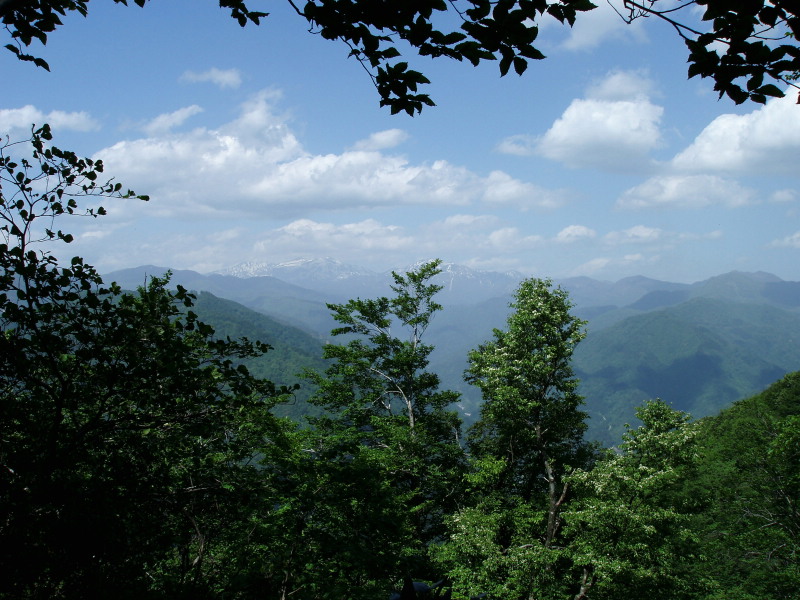 途中からの白山連峰
